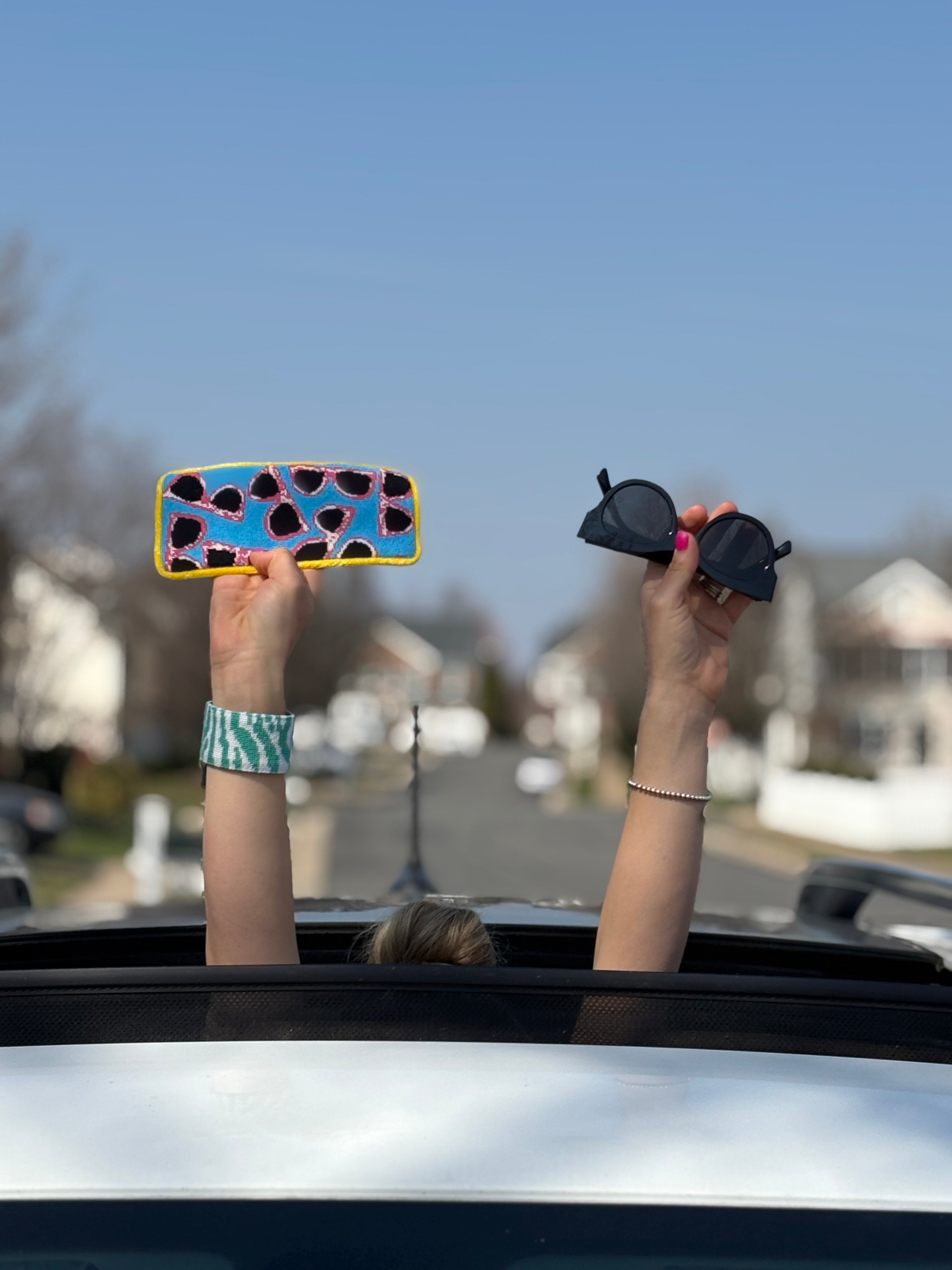 Needlepoint Glasses Cases